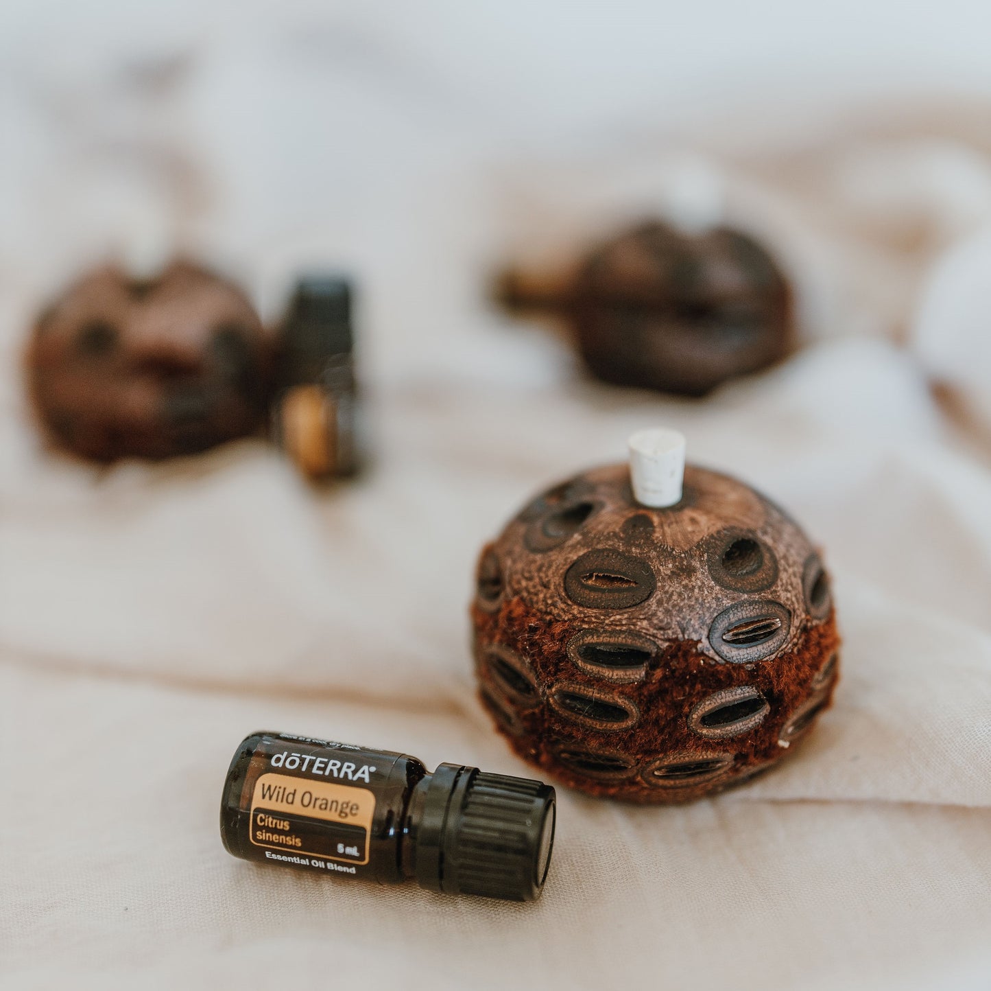 Banksia Aroma Pod & Essential Oil Set