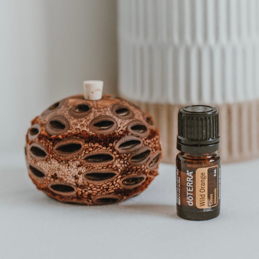 Banksia Aroma Pod & Essential Oil Set